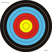 Tarcza Łucznicza treningowa - 10szt.